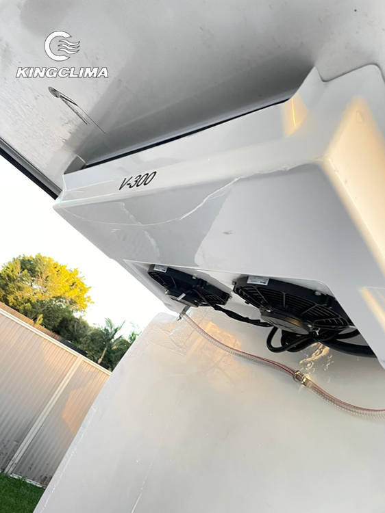 V-300 Freezer Unit For Cargo Van