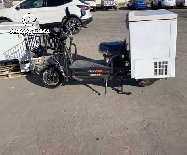 Electric Refrigerated Two-Wheeler Bike