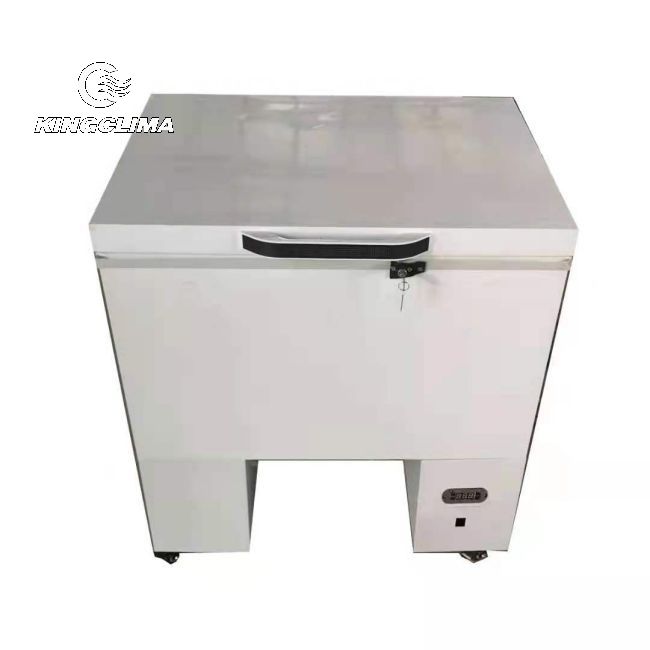 Electric Refrigerated cold box used for Motor Bike