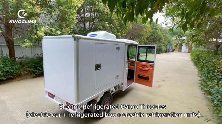 Electric refrigerated tricycle box with cooler unit