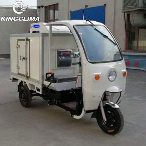 B-100C electric chiller unit for tricycle
