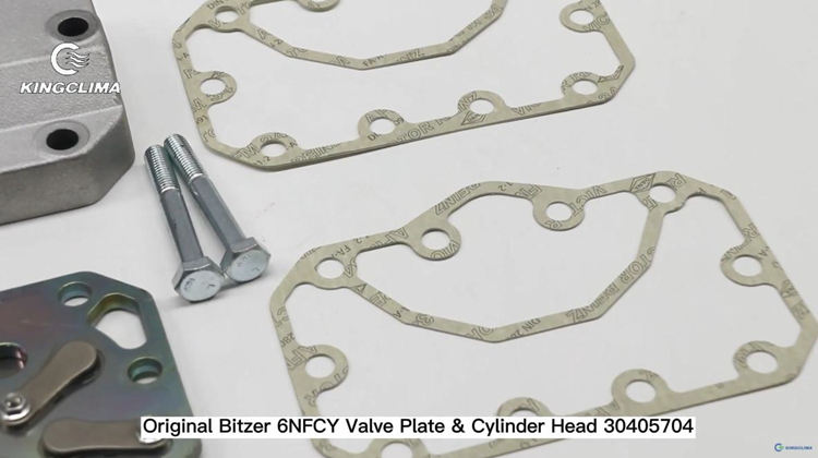 Original Bitzer 6NFCY Valve Plate and Cylinder Head 30405704