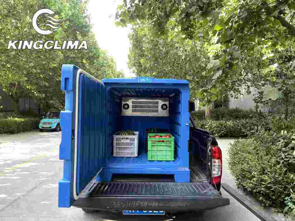 Portable Refrigerated Container for Van