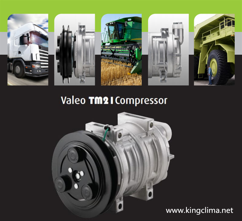Valeo Compressor TM21