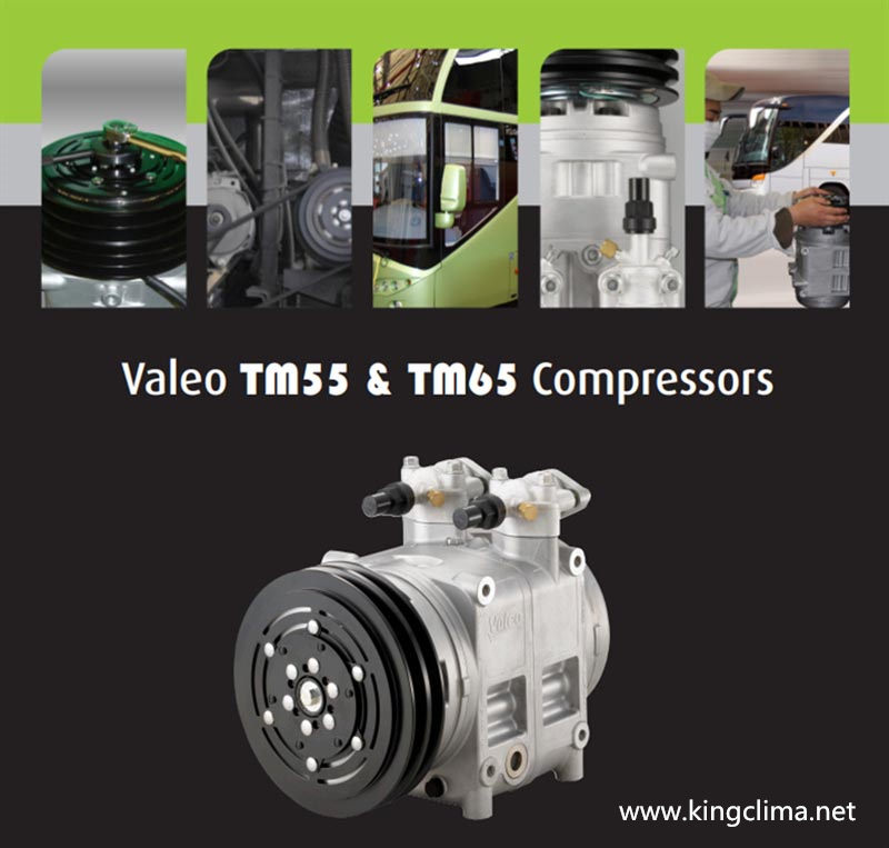 Valeo Compressors TM55 / TM65