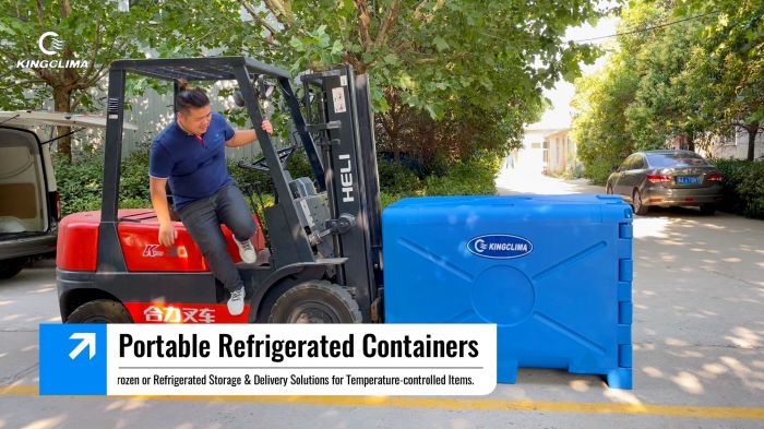 Portable Refrigerated Container