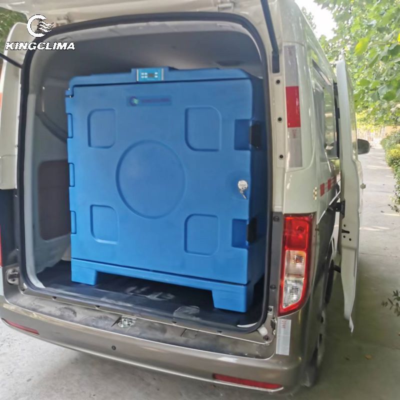 DC12V Battery Driven Portable Cold Box for vans