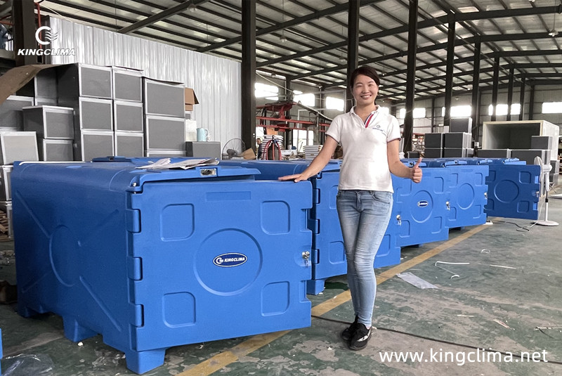 KingClima Cold Cube for Perishable Goods Transportation and Storage