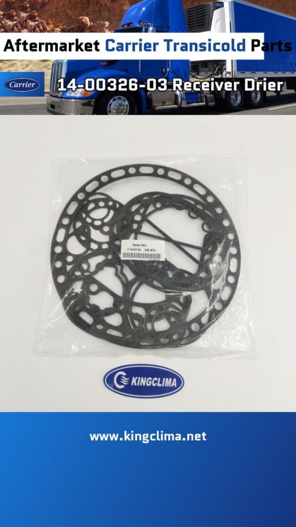 17-44707-00 Gasket Set For Carrier Transicold Parts