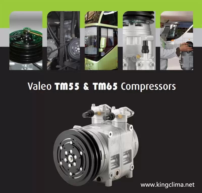Valeo Compressors TM55 / TM65