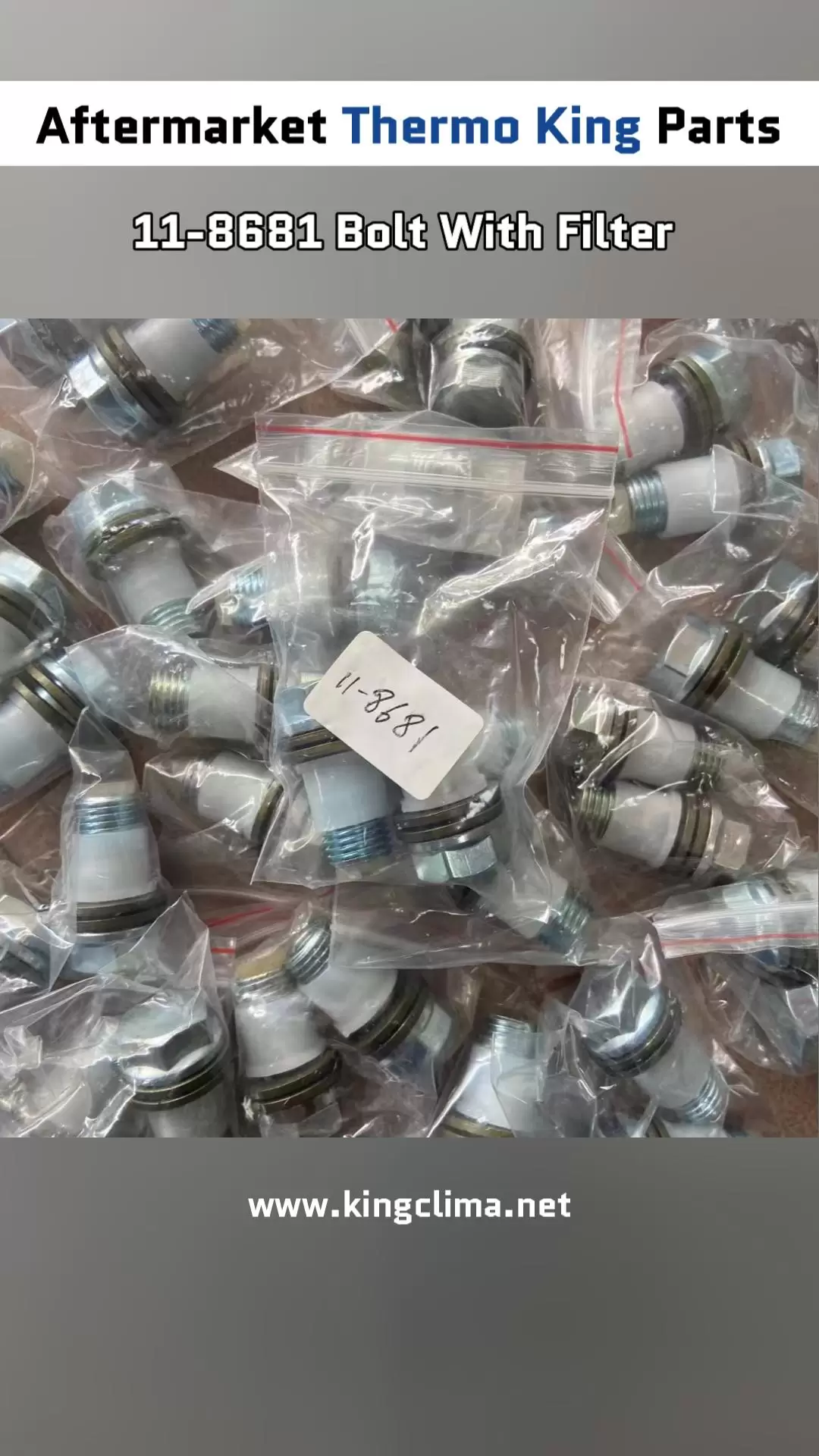 11-8681 Bolt With Filter For Thermo King Aftermarket Parts